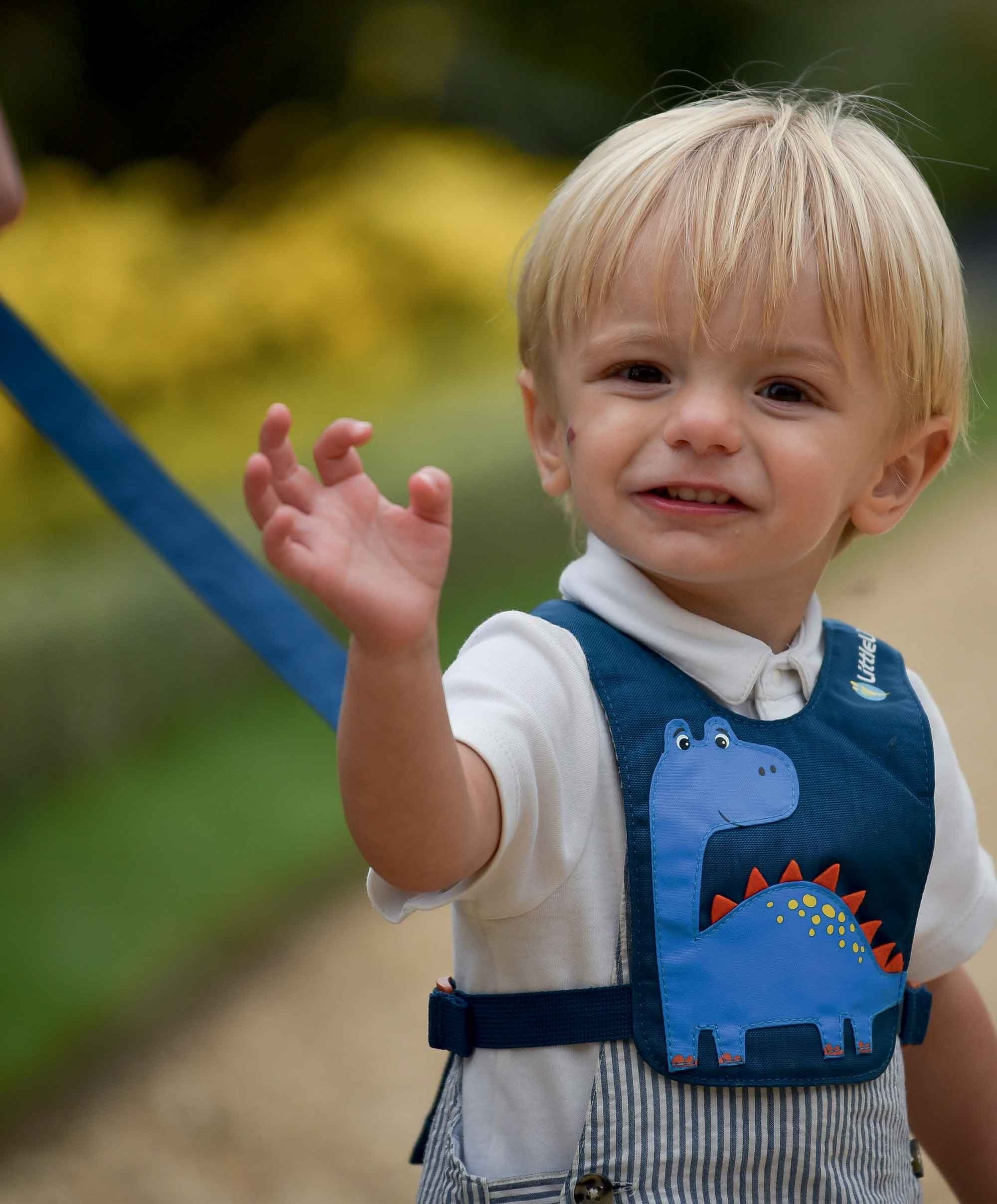 LittleLife Toddler Reins - Dinosaur - Image 4